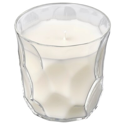 BASTUA带香味的蜡烛在玻璃、大黄接骨木花/白色,35小时