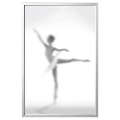 BJORKSTA有意者lijst相遇,芭蕾舞女演员/ aluminiumkleur 78 x118厘米