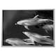 BJORKSTA有意者lijst相遇,dolfijnen / aluminiumkleur 140 x100厘米