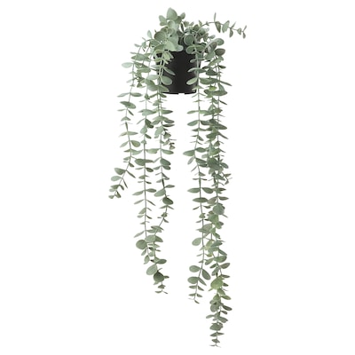 FEJKA人工盆栽植物,室内/室外挂/桉树,3½”