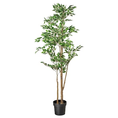 FEJKA Topfpflanze、kunstlich drinnen / draußen榕树grunlaubig, 21厘米