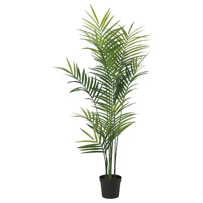 FEJKA Topfpflanze、kunstlich drinnen / draußen Kentiapalme, 23厘米