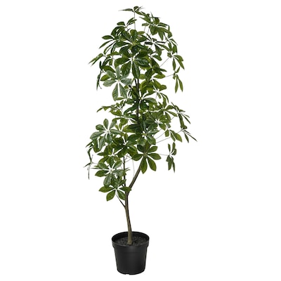 FEJKA Topfpflanze、kunstlich drinnen / draußen Strahlenaralie, 23厘米