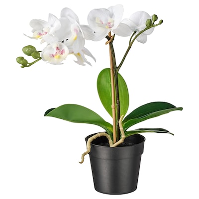 FEJKA Topfpflanze、kunstlich Orchidee weiß9厘米