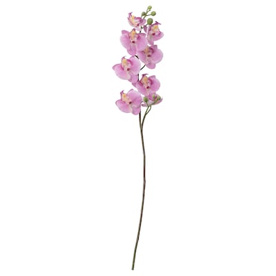SMYCKA Kunstblume Orchidee /罗莎,60厘米
