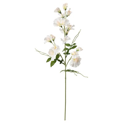SMYCKA Kunstig blomstærteblomst / hvid 60厘米