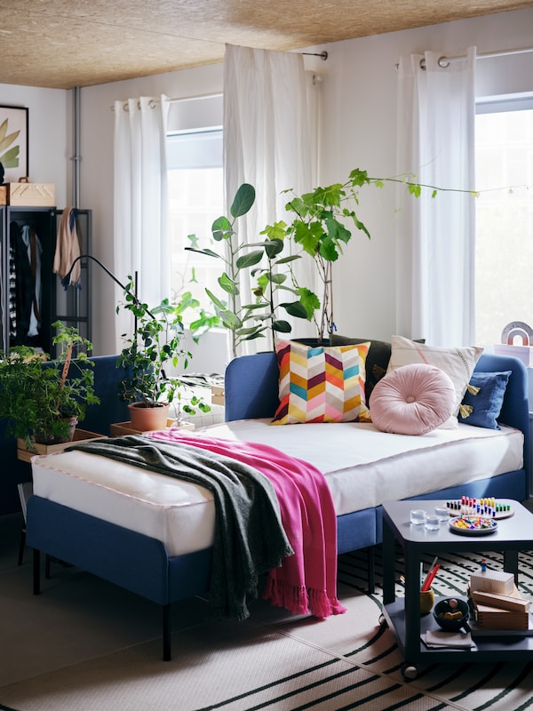 蓝色BLAKULLEN床上各种色彩鲜艳的缓冲和抛出,灰色TINGBY方桌上,绿色植物和白色的窗帘。