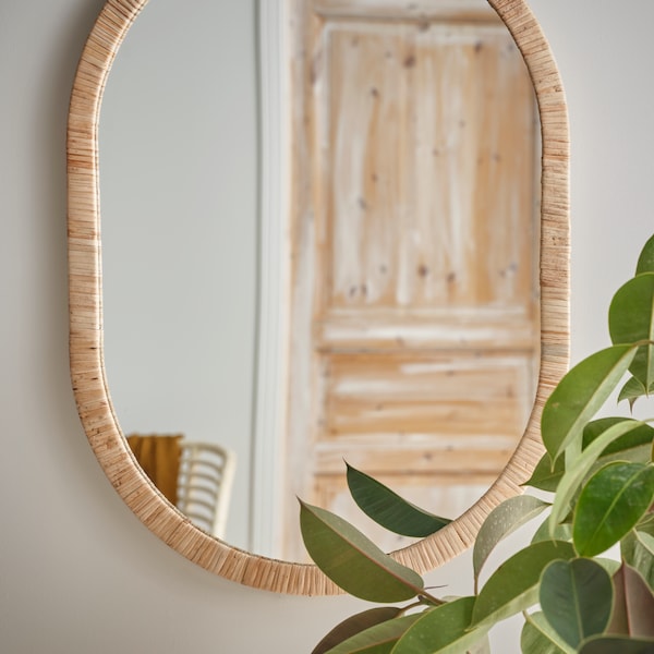 一面大镜子和一个木制框架挂在墙上。在植物的前面。