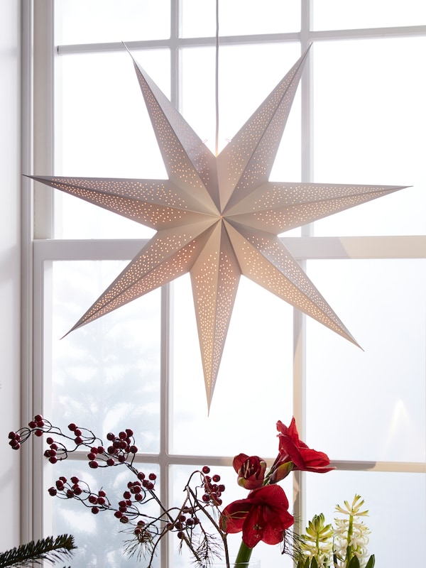 一盏灯和一个STRALA灯罩的形状像一颗星星挂在窗户上面一些花和植物包括一个喇叭花。