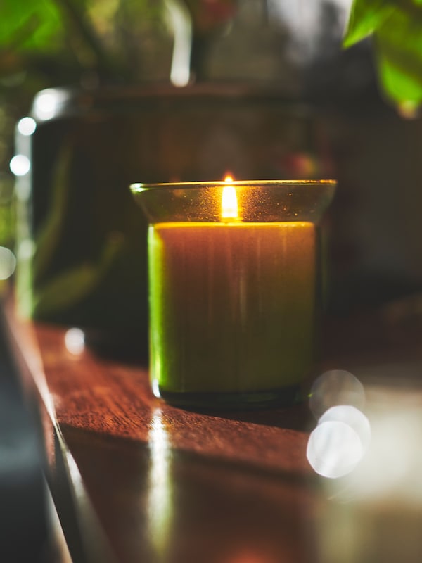 HEDERSAM带香味的蜡烛在一个黑暗的玻璃罐木表面在后台绿叶植物。
