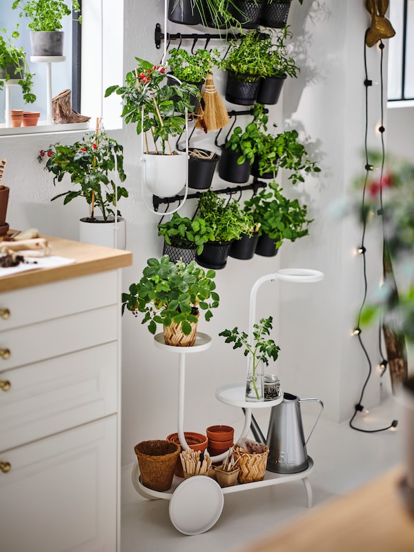 黑色HULTARP容器与植物挂在黑色HULTARP rails在厨房的墙上,加上车轮上的一个白色的植物。