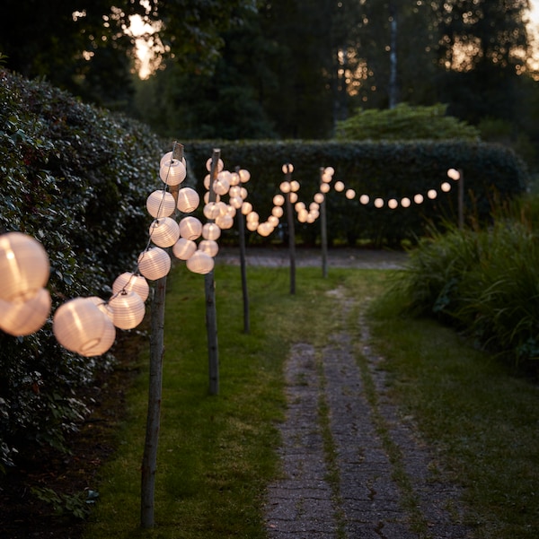 连锁SOLARVET LED照明光通路在黄昏的一个花园。