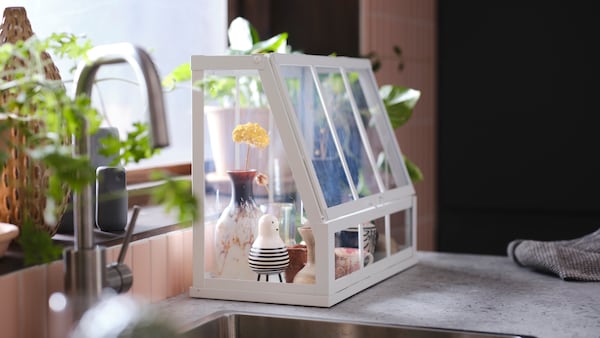 白色AKERBAR温室的花放在花瓶里和各种其他项目里面,在厨房工作台窗口。