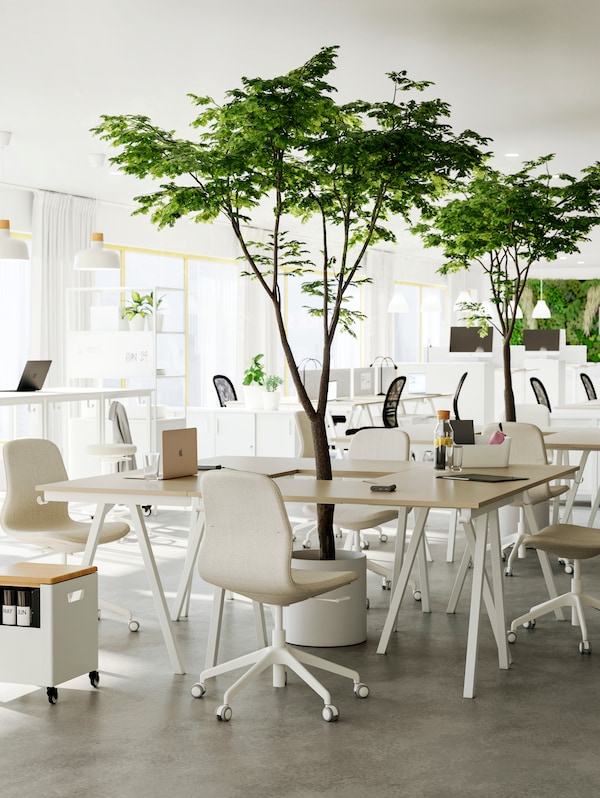 开放的办公室房间几组光桌子和椅子放在一起作为会议地点,绿色植物。