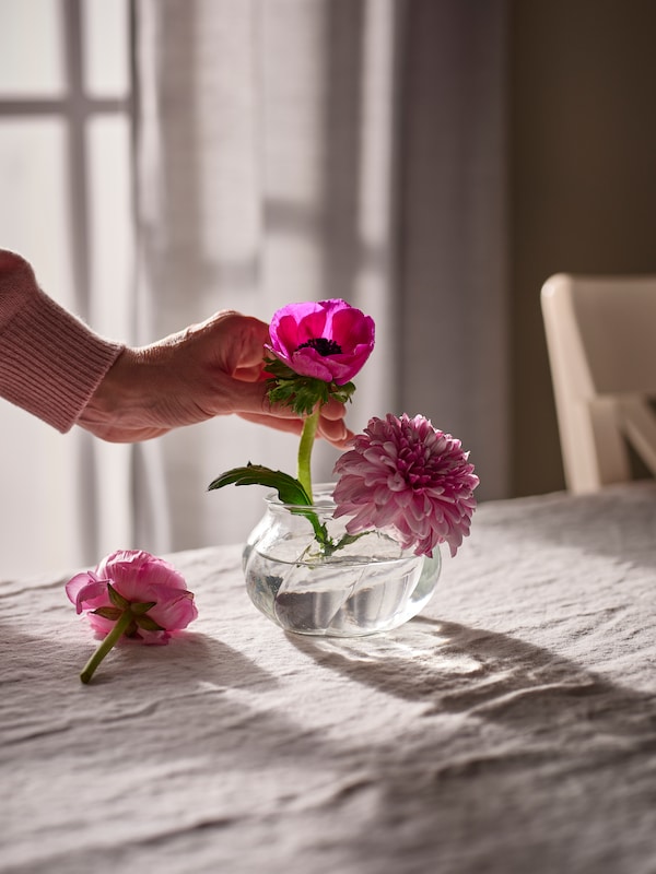 一个人把短的粉红色的花朵在低VILJESTARK透明玻璃花瓶放在桌上natural-coloured台布。