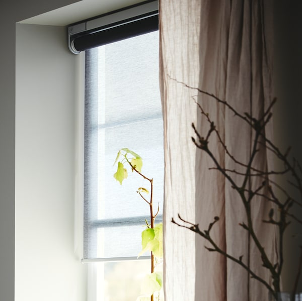 植物的茎达到成一个窗口的窗帘和一个灰色KADRILJ无线/电动遮光窗帘。