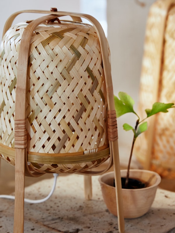KNIXHULT台灯编织竹帘,旁边一个小terracotta盆栽植物包含三个叶子的幼苗。