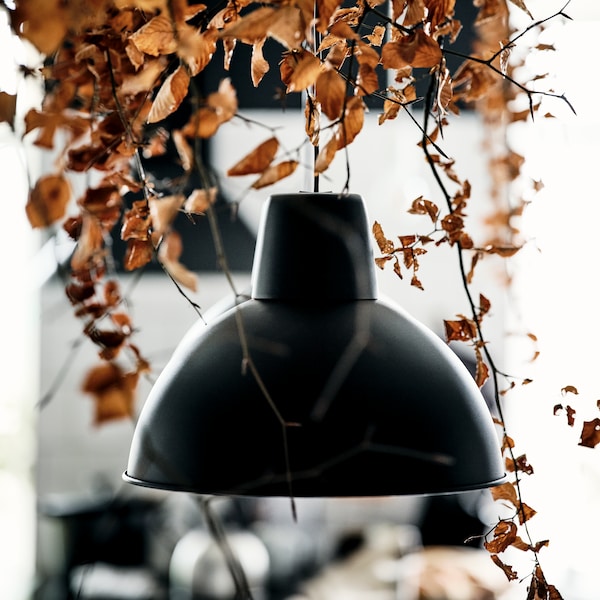一个黑色SKURUP吊灯挂与枯叶暂停周围和上面的装饰。