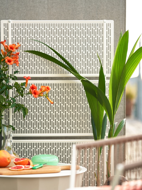 SEGERON椅子和米色LAGASKAR咖啡桌LUNGON隐私屏幕前的鲜花和植物旁边。