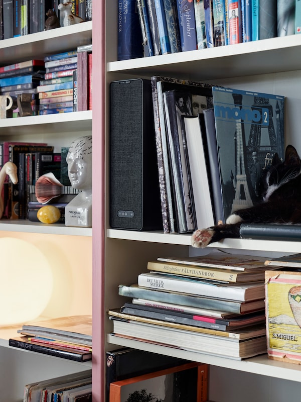 黑色,SYMFONISK WiFi书架演讲者站在书柜旁边书籍、杂志和一个睡觉,黑白相间的猫。