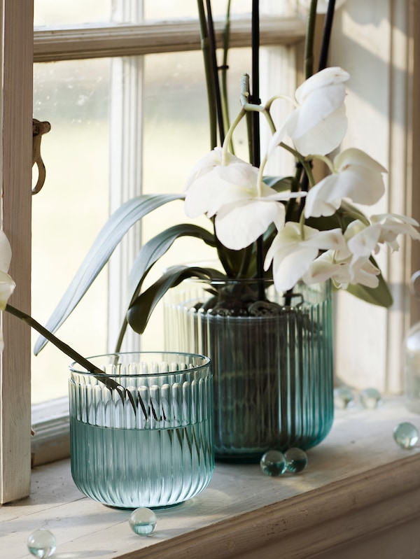 并排的绿色GRADVIS花盆分别在窗台上放着一朵花和白色的兰花。