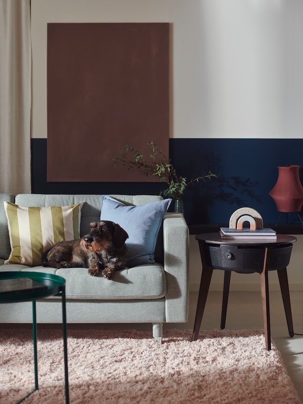 一只小狗放在一个LANDSKRONA沙发看起来正确。空气净化器的STARKVIND表是在沙发的旁边。