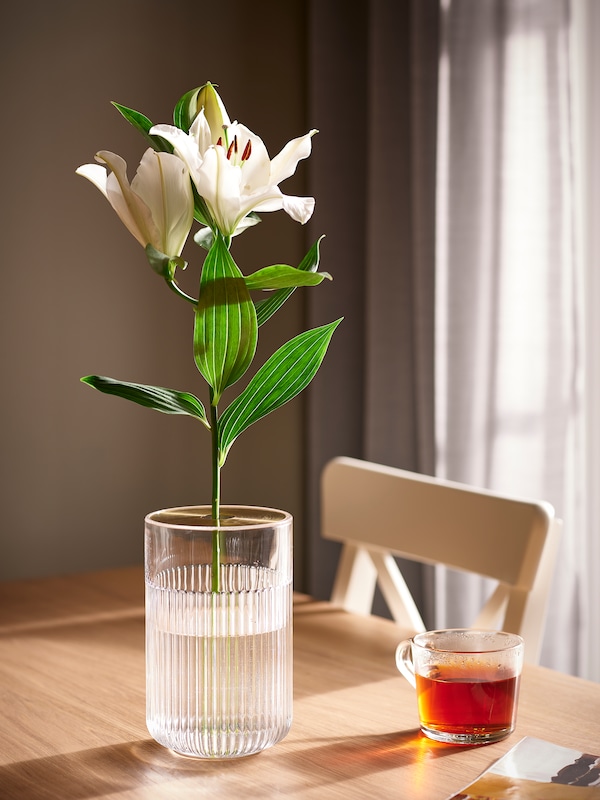 GRADVIS清晰的玻璃花瓶里的一朵花,金色金属插入,旁边一杯茶在橡树单板餐桌。