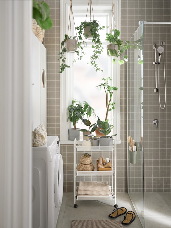 明亮的浴室,洗衣解决方案到一边,淋浴,和白色的车与植物挂在窗口。