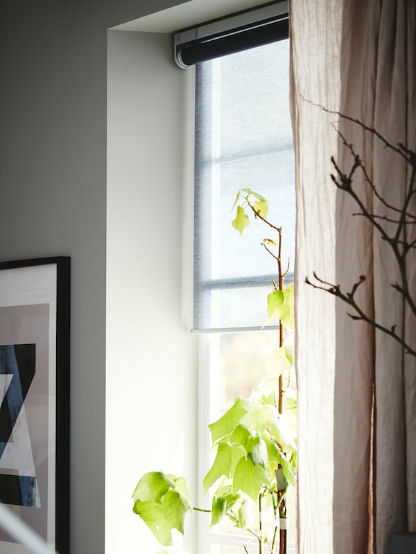 窗口与窗口处理组成的灰色KADRILJ无线/电动遮光窗帘和HANNALILL窗帘。