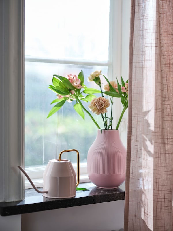 粉色GRADVIS花瓶用鲜花和淡粉色VATTENKRASSE喷壶与纯粹的窗帘窗户的窗台上。