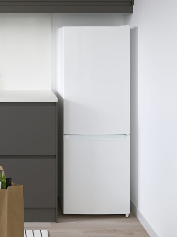 独立拉冰箱/冰柜组合在白色在厨房的角落里白色的墙壁和灰色存储。