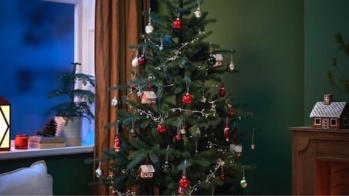 Weihnachtsbaume & Tannenbaume