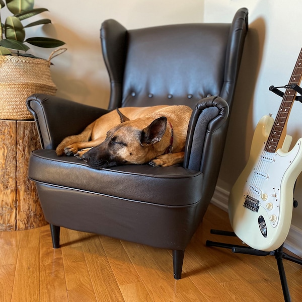 狗是蜷缩,午睡皮革STRANDMON扶手椅