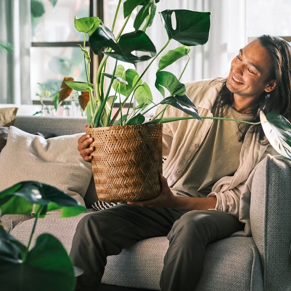 一个微笑的人坐在一个浅灰色APPLARYD三人沙发上拿着蓬莱蕉种植KLYNNON竹盆栽植物。