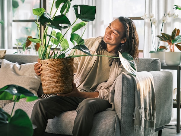 一个微笑的人坐在一个浅灰色APPLARYD三人沙发上拿着蓬莱蕉种植KLYNNON竹盆栽植物。