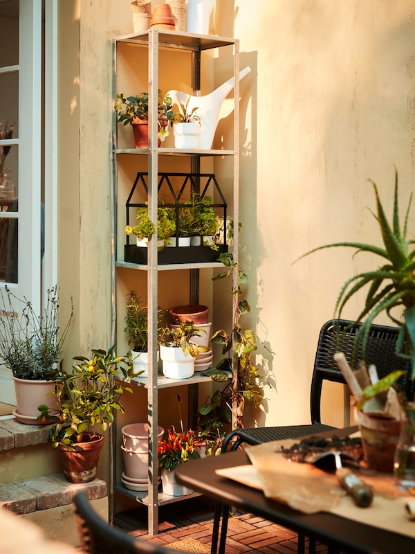 一个高高的金属架子，里面有盆栽植物、草药、一个白色的喷壶、一个黑色的装饰性温室和几盆花盆。