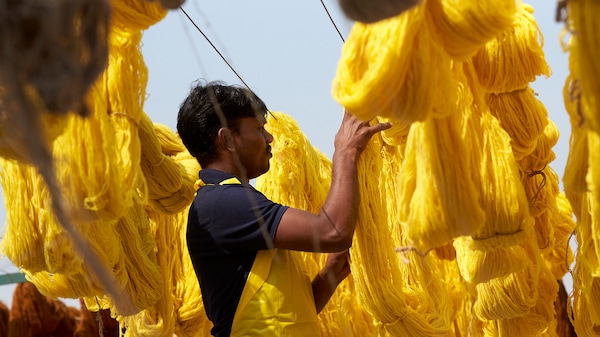 印度的纺织工人挂新染色,明亮的黄色棉晾干。