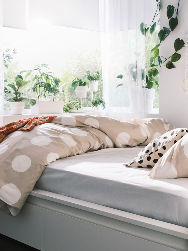 一个白色的白垩土床上覆盖着KLYNNETAG床单和缓冲ODDNY覆盖在明亮的房间里有很多植物。