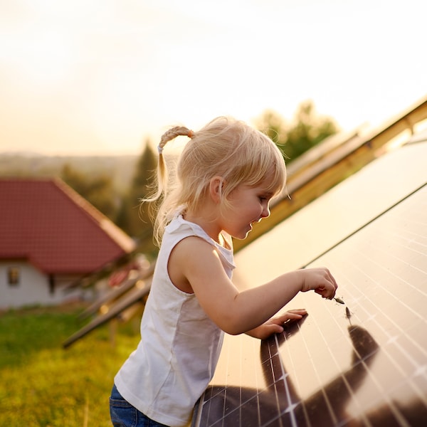 一个小孩与金发草籽头穿过表面的太阳能电池板在晚上在外面的太阳。