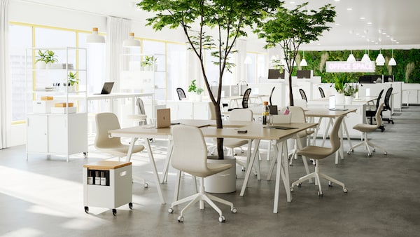 开放的办公室,几组米色,白色桌子和椅子放在一起作为会议地点,绿色植物。
