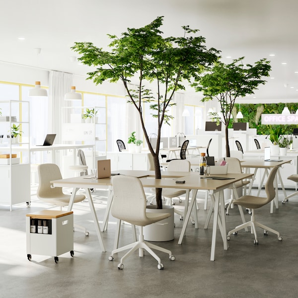 米色和白色的TROTTEN桌子放在一起形成了一个协作区域，周围是LÅNGFJÄLL办公椅。