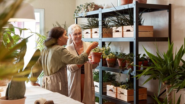 Dwie kobiety stojące w sklepie z roślinami przy czarnym盛宴BROR wypełnionym roślinami w doniczkach。Kobieta doradza swojej klientce w wyborze rośliny。