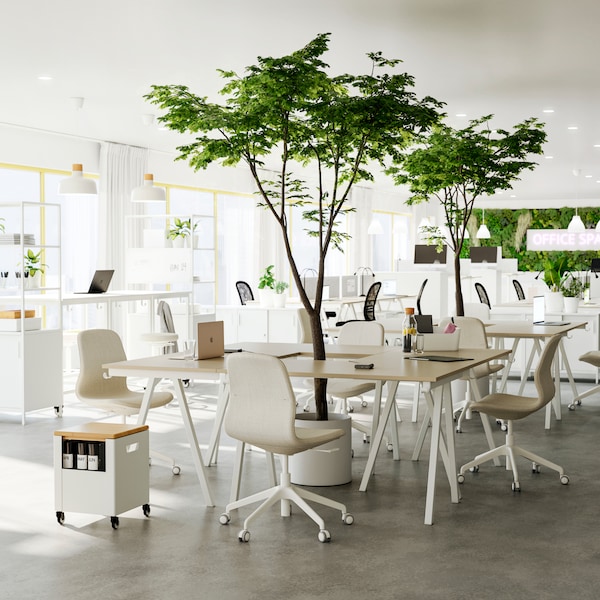 四个beige-and-white TROTTEN桌子放在一起协作区域和LANGFJALL办公椅。