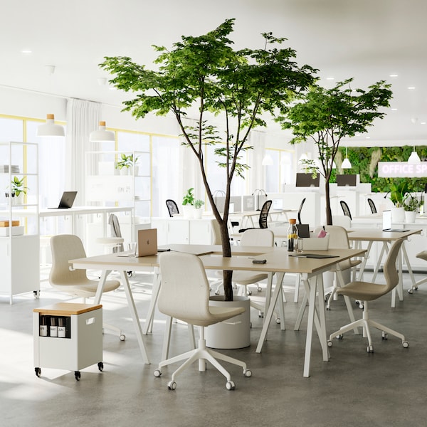 四个米色,白色TROTTEN桌子放在一起协作区域和LANGFJALL办公椅。