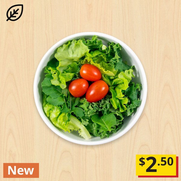 绿色沙拉,植物性食物在左上角,象征新的标签在左下角,惊人的价格2.50美元的缩略图的右下角。