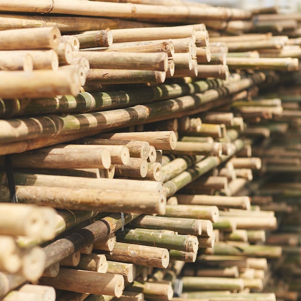 数以百计的竹棒干燥室外在书架上。他们是干燥的货架上也用竹子制成的。