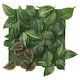FEJKA人工植物,壁装式/ /户外绿色/淡紫色,x26 26厘米