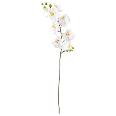 SMYCKA人工花,兰花,白色,60厘米