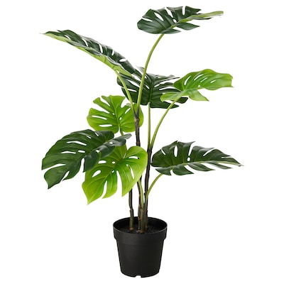 FEJKA人工盆栽植物,在/户外蓬莱蕉,19厘米