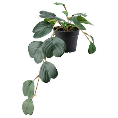 FEJKA人工盆栽植物,在/户外挂/豆瓣绿属,9厘米